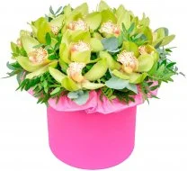 Шляпная коробка Анита Шляпная коробка Анита